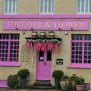 The Forester And Flower Gasthuis